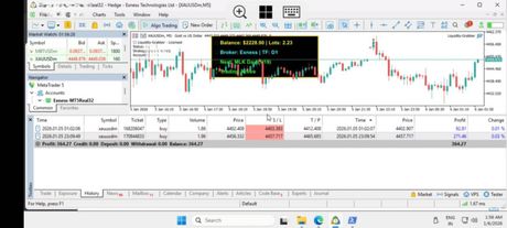 Liquidity Grabber PRO EA — золото по ликвидности — экран 4