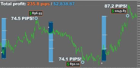 Forex Viking: торговый советник — экран 2