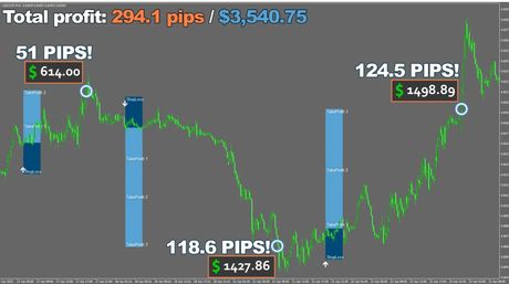 Forex Viking: торговый советник — экран 3