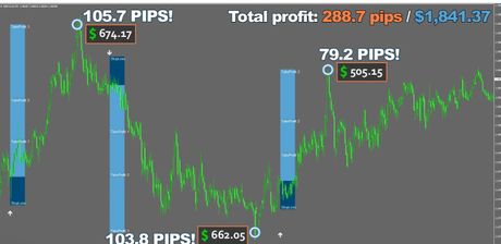 Forex Viking: торговый советник — экран 4
