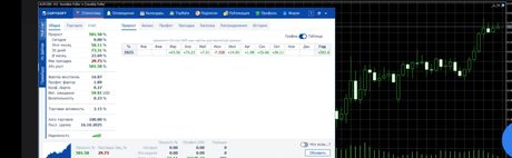 Chinese EA Scalping — трендовый алгоритм — экран 2