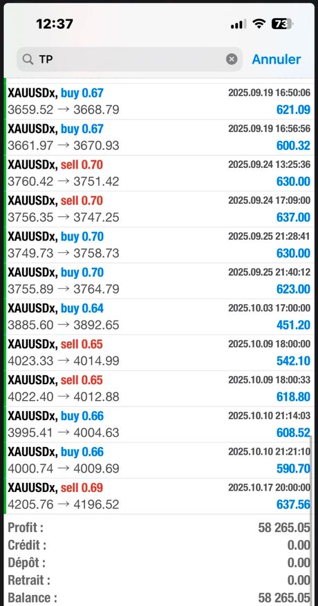 Chinese EA Scalping — трендовый алгоритм — экран 3