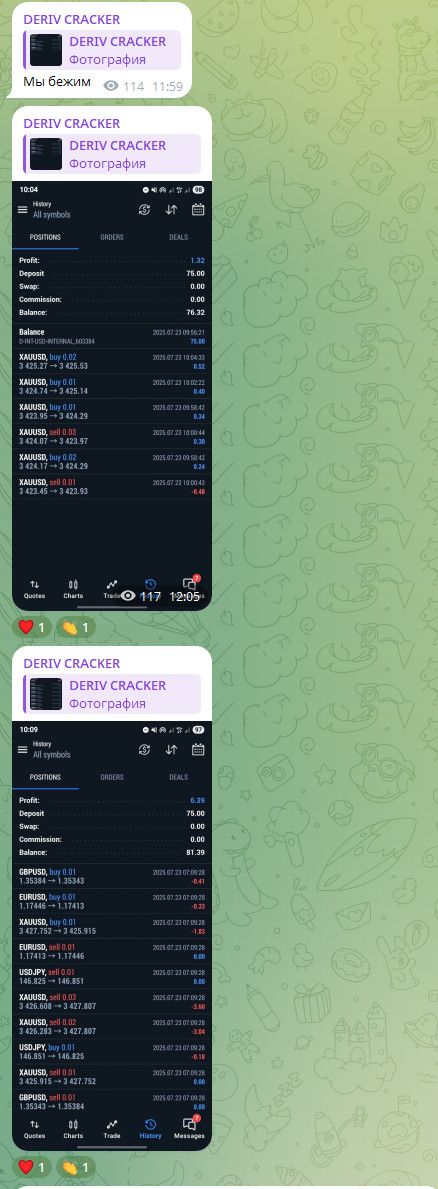 FLIPPERBEAST и ULTRA SCALPER для разгона — экран 2