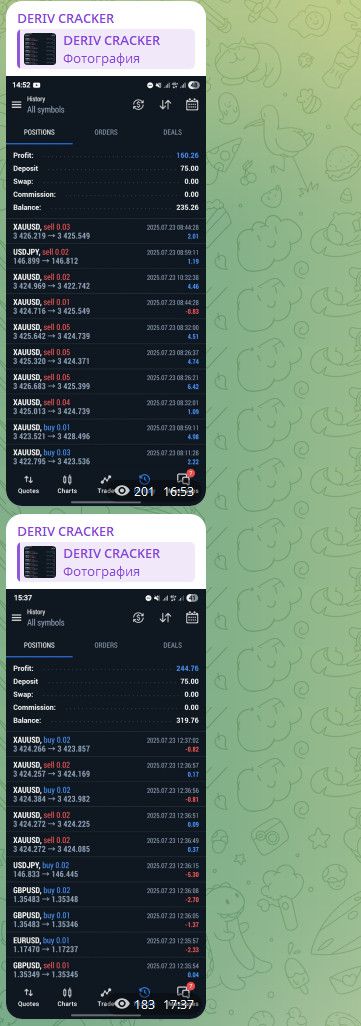 FLIPPERBEAST и ULTRA SCALPER для разгона — экран 4